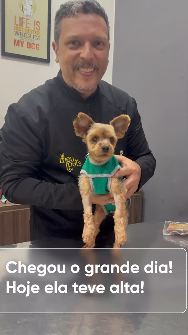 Instagram post from meupets_petshop. This post is in position 0.
