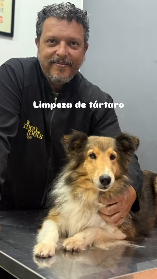 Instagram post from meupets_petshop. This post is in position 4.